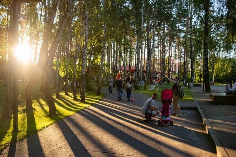 Губернский лес в г.о. Чехов благоустроят до 2024 года