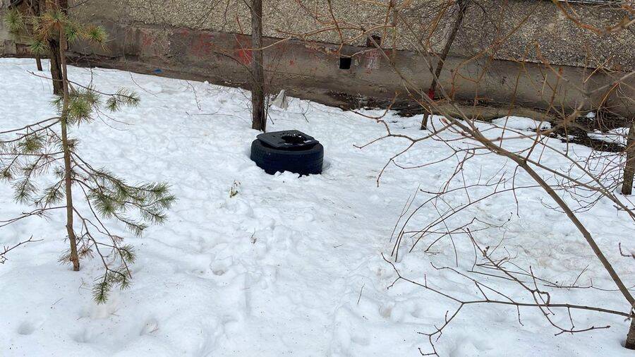 Провалившуюся в открытый люк собаку вытащили спасатели в Воронеже