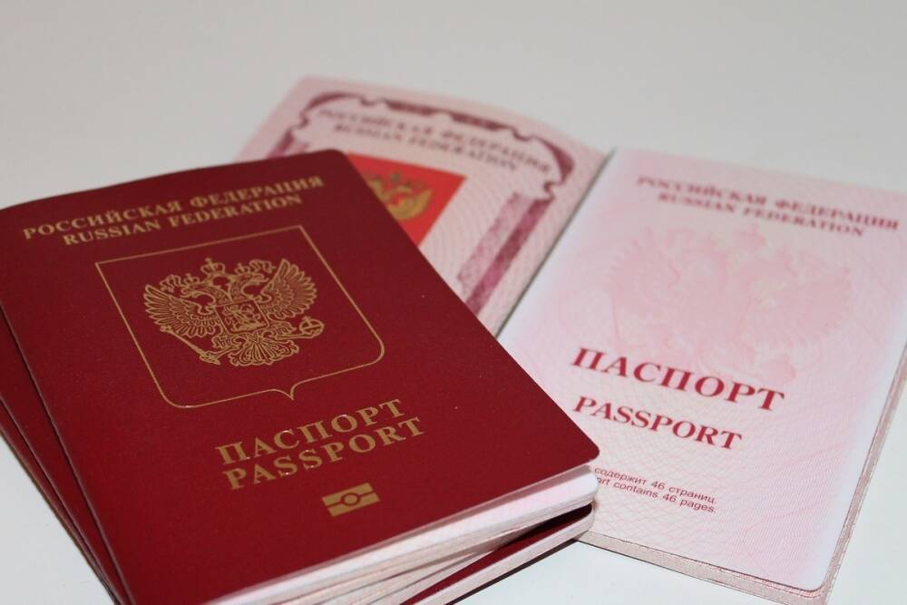 Почти 400 тысяч дончан получили паспорта РФ