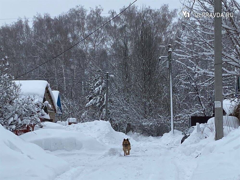 Снежные заносы и гололедица. В Ульяновской области объявляют желтый уровень опасности