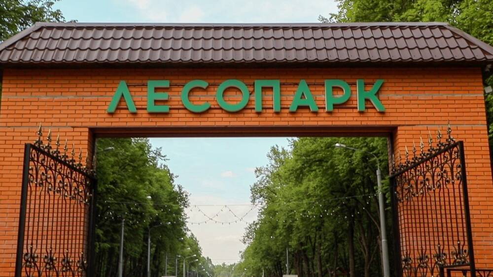 В Рязани в 2022 году начнут благоустраивать четыре парка