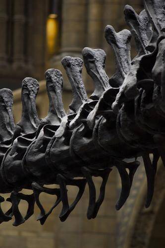 Палеонтологи обнаружили в позвонках молодого динозавра следы тяжелой респираторной инфекции