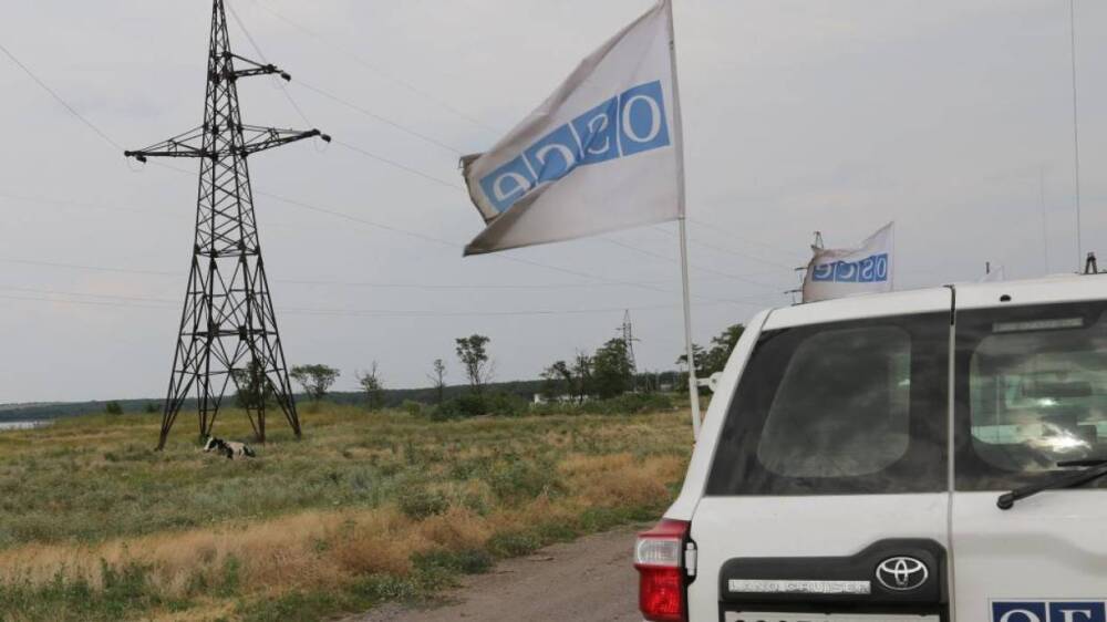 Решение некоторых стран отозвать наблюдателей ОБСЕ из Украины вызвало настороженность в ДНР
