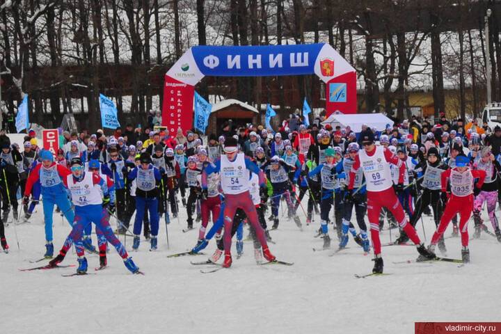 Владимирские лыжники поучаствовали в главном состязании года