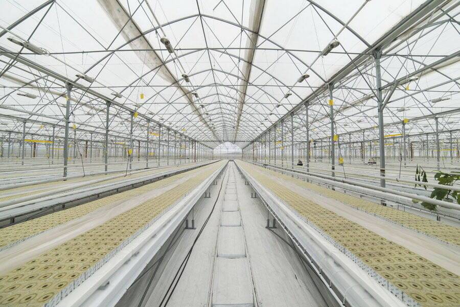 Производитель тепличных овощей из Черноземья вышел на финальный этап строительства объекта в Ставрополье