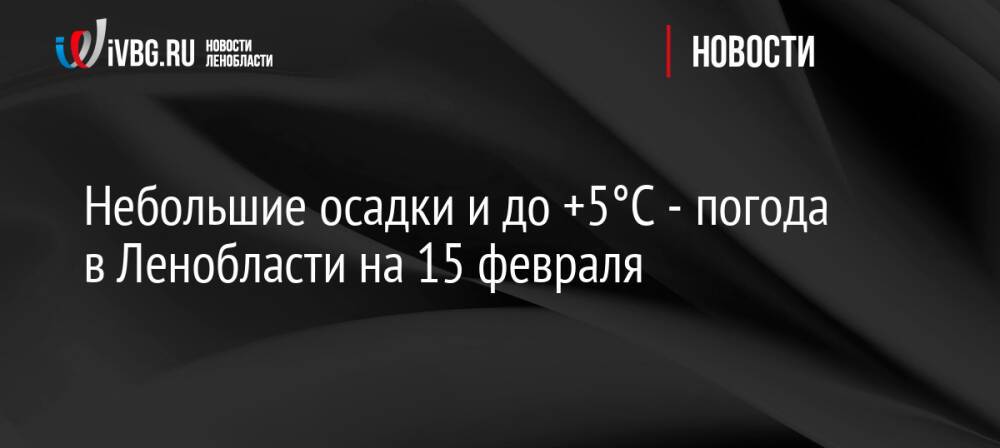 Небольшие осадки и до +5°C — погода в Ленобласти на 15 февраля