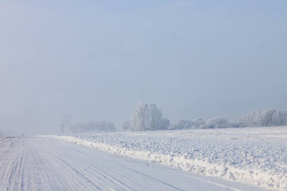 Умеренный снег и слабый минус ожидаются в Томской области 15 февраля