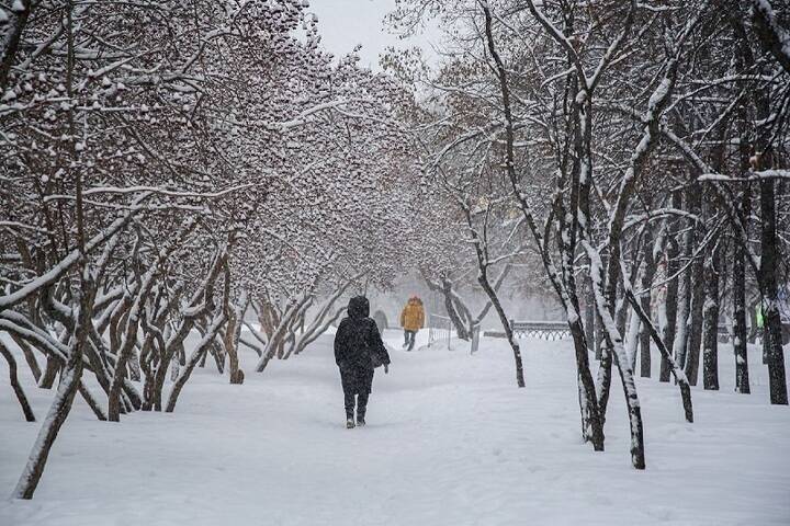 Небольшой снег и -13 градусов мороза – погода в Красноярске 15 февраля