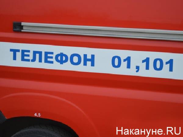 В Челябинской области сгорел гостевой дом около нацпарка "Зигальга"