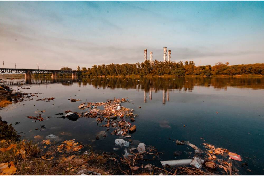 СНТ в Ново-Токсово выплатит 23 млн рублей за свалку и загрязнение водоема