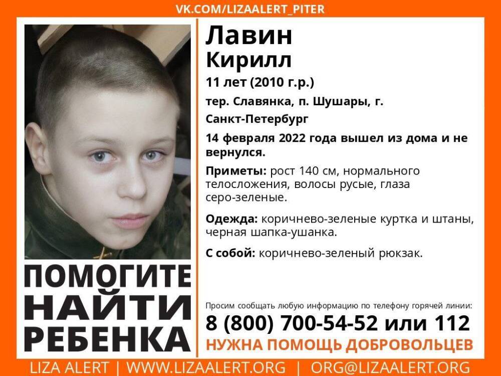 В Петербурге без вести пропал 11-летний мальчик