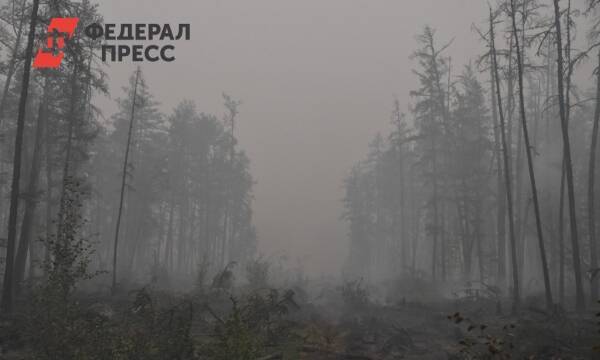 Юг Тюменской области попал в реестр пожароопасных территорий