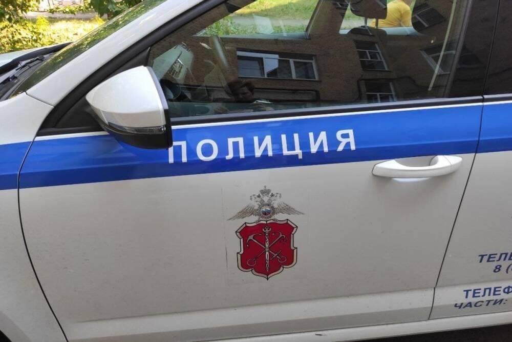Полиция задержала подозреваемого в изнасиловании 29-летней петербурженки в отеле на Хошимина