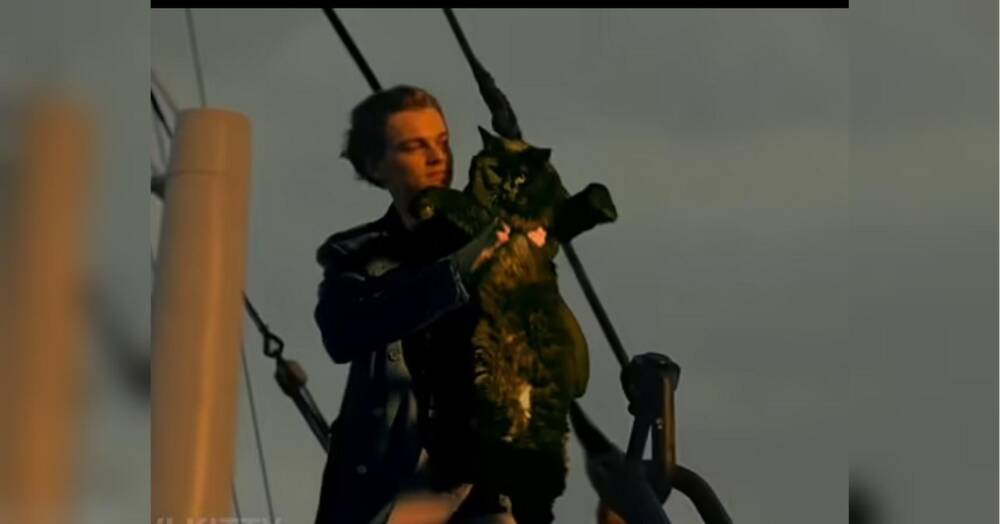Пародія на фільм «Титанік» з кішкою замість Кейт Вінслет підкорила мережу (відео)