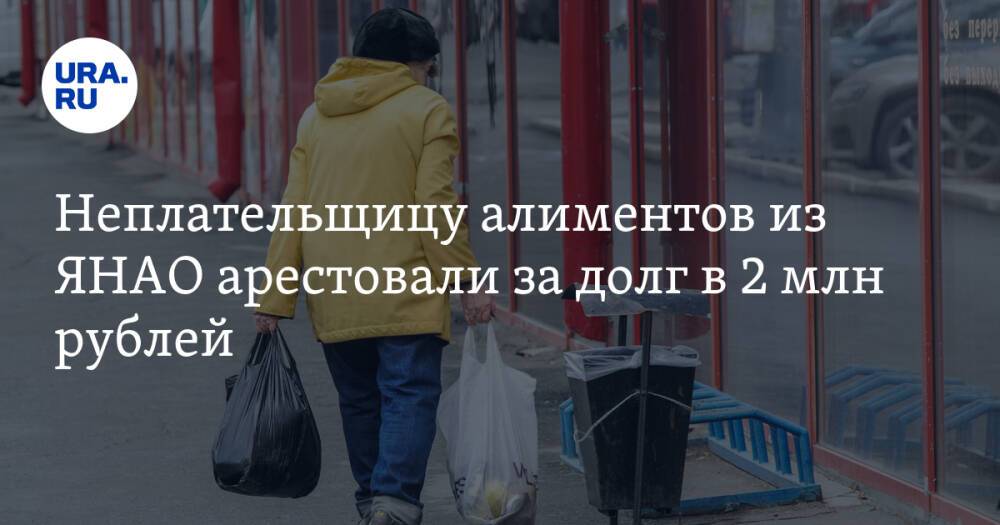 Неплательщицу алиментов из ЯНАО арестовали за долг в 2 млн рублей