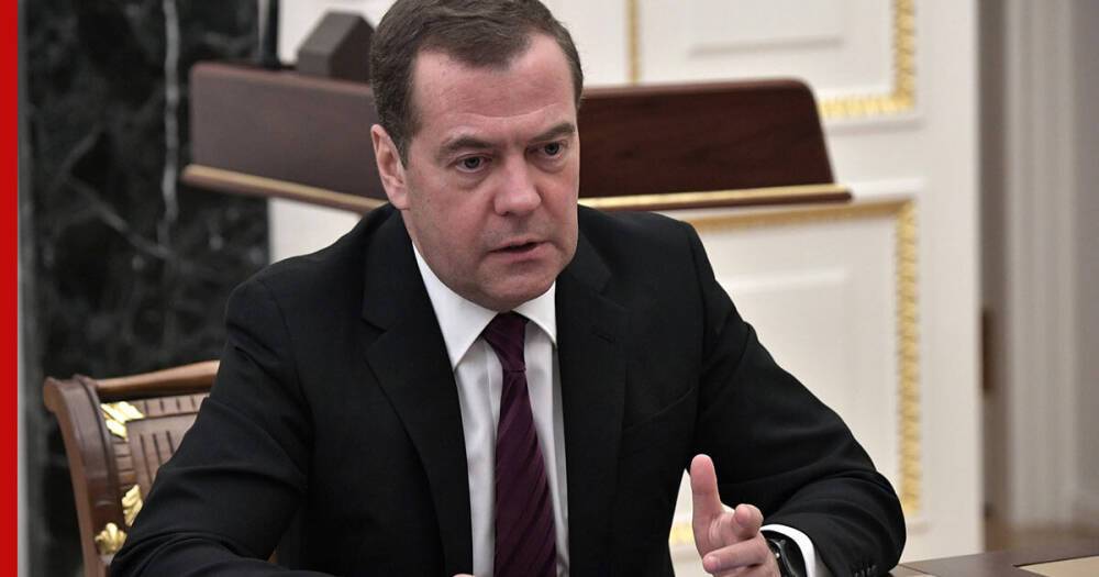Медведев предупредил об угрозе экономической безопасности России из-за импорта сырья