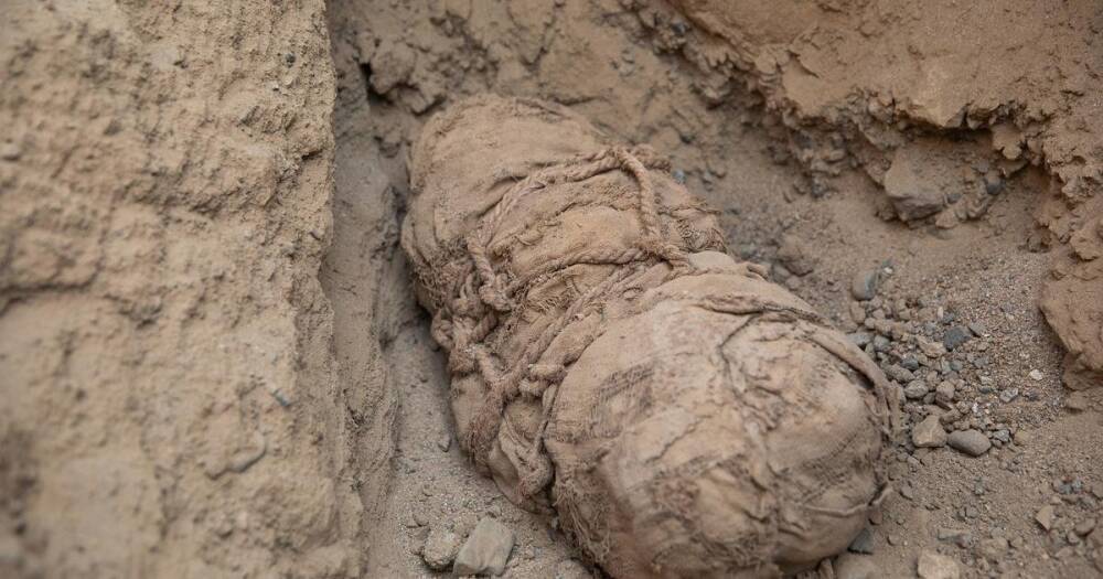 В Перу найдены мумии шести детей: их убили, чтобы сопроводить аристократа в подземный мир