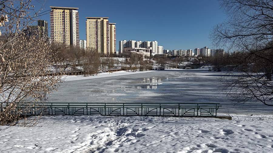 В Москве 15 февраля стало самым теплым днем с начала зимы