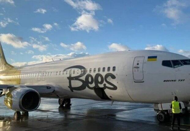 Авиакомпания Bees Airline отправит все самолеты за границу