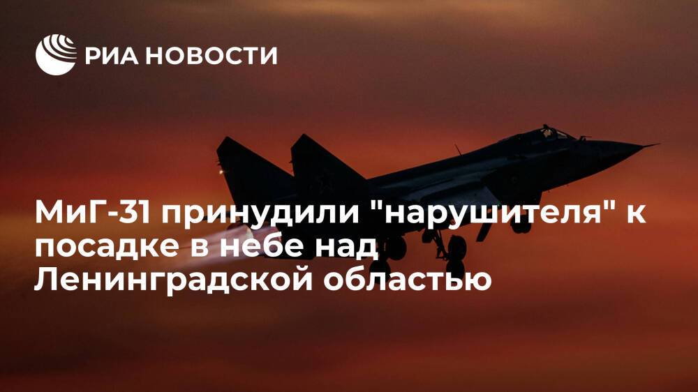 Истребители МиГ-31 ЗВО принудили "нарушителя" к посадке в небе над Ленинградской областью