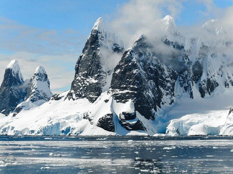 Антарктида превратится в зеленый континент. Почему это станет катастрофой для человечества