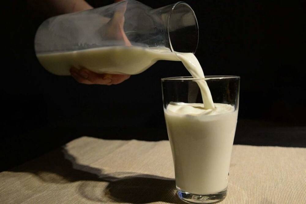 Брянские аграриии за январь произвели 19 тысяч тонн молока