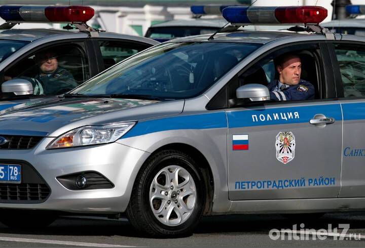 В Петербурге росгвардейцы задержали мужчину, который пытался пронести продукты мимо кассы