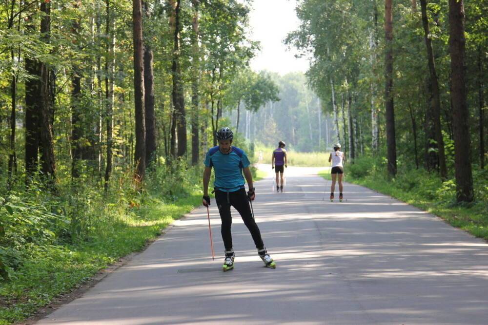 Во Владимире может появиться освещенная лыжероллерная трасса