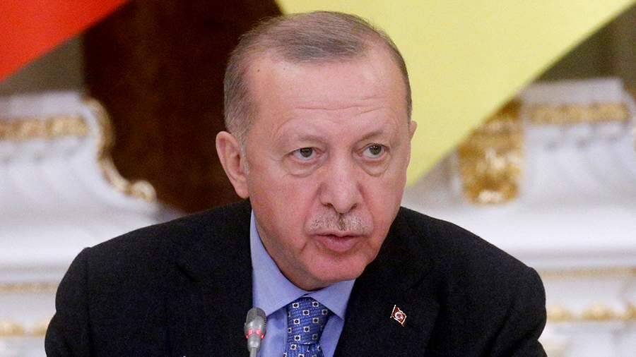 Эрдоган выразил желание провести общую встречу с Путиным и Зеленским