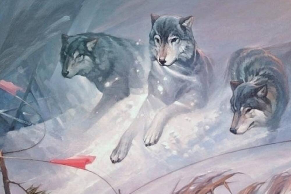 Костромские сюжеты: «Идет охота на волков, идёт охота...»