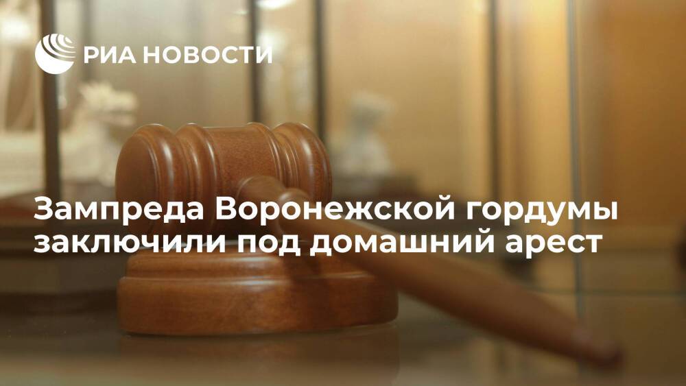 Зампреда Воронежской гордумы заключили под домашний арест по делу о мошенничестве