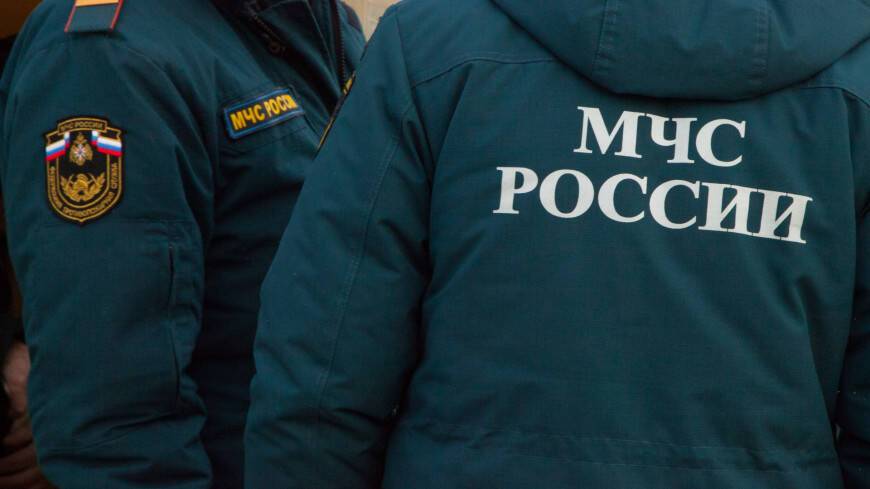 Путин: Россияне благодарны сотрудникам МЧС за помощь в борьбе с коронавирусом