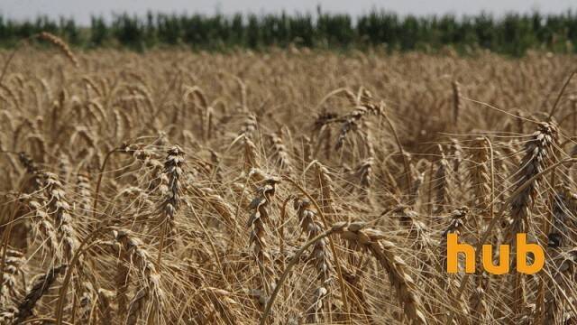 В Україні створено Фонд часткового гарантування кредитів у сільському господарстві