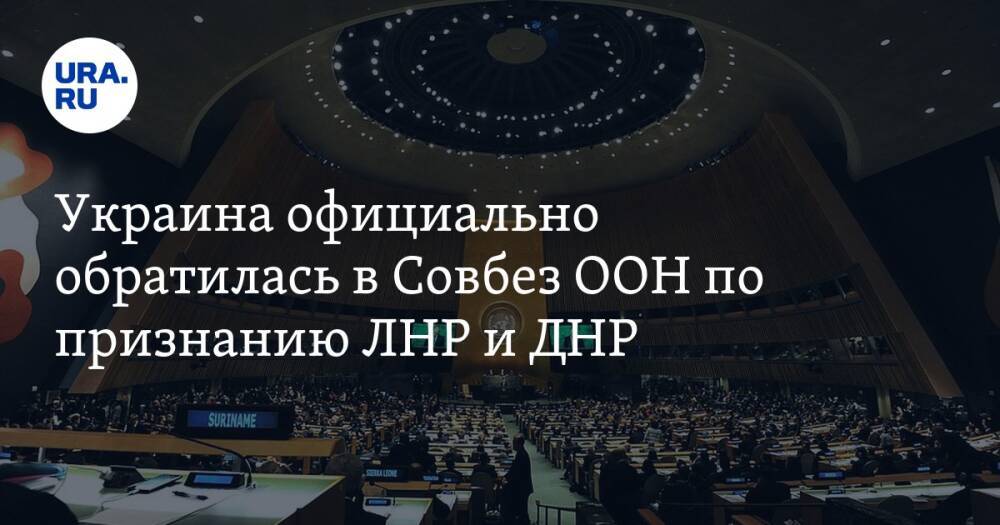 Украина официально обратилась в Совбез ООН по признанию ЛНР и ДНР