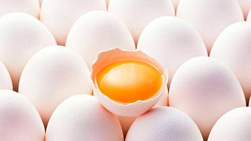 Производство яиц в Украине уменьшилось на 8%, а молока - на 1,5% - Госстат