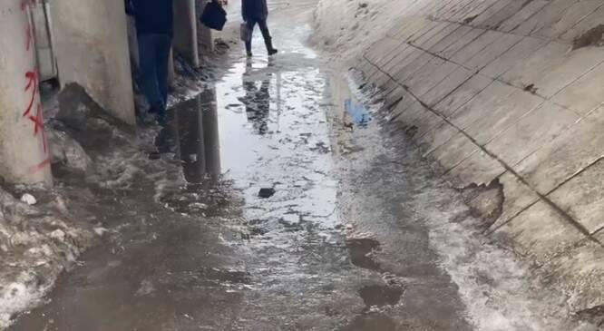 Рязанцы пожаловались на дорогу под мостом на Московском шоссе