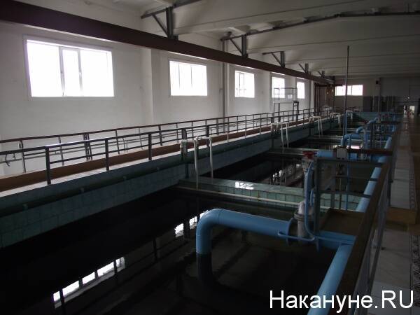 В Челябинске объявили аукцион на строительство станции обеззараживания воды за 927 млн рублей