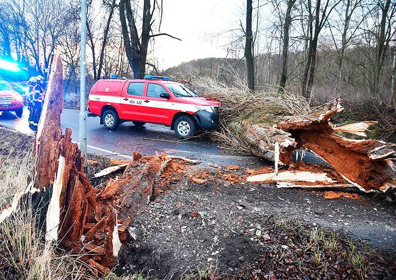 На Чехию обрушился штормовой ветер: 300 тыс. семей без электроэнергии