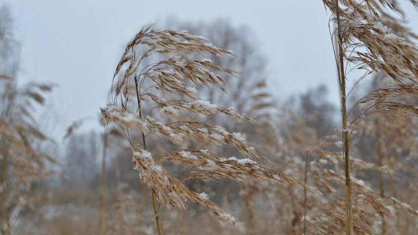 Синоптики предупредили о сильном ветре в Свердловской области 18 февраля