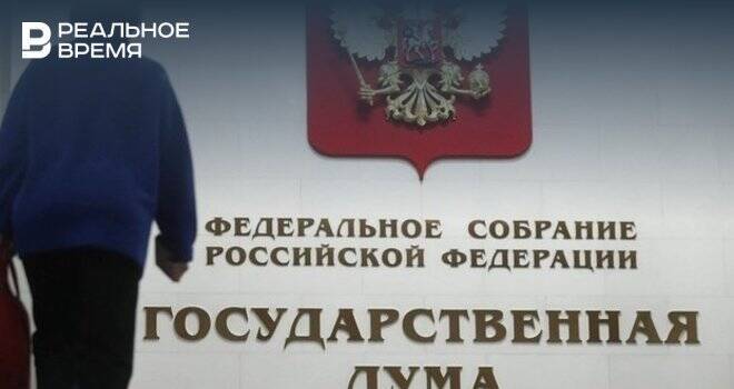 Госдума не поддержала законопроект Госсовета Татарстана об удалении данных о самодельном оружии в Сети