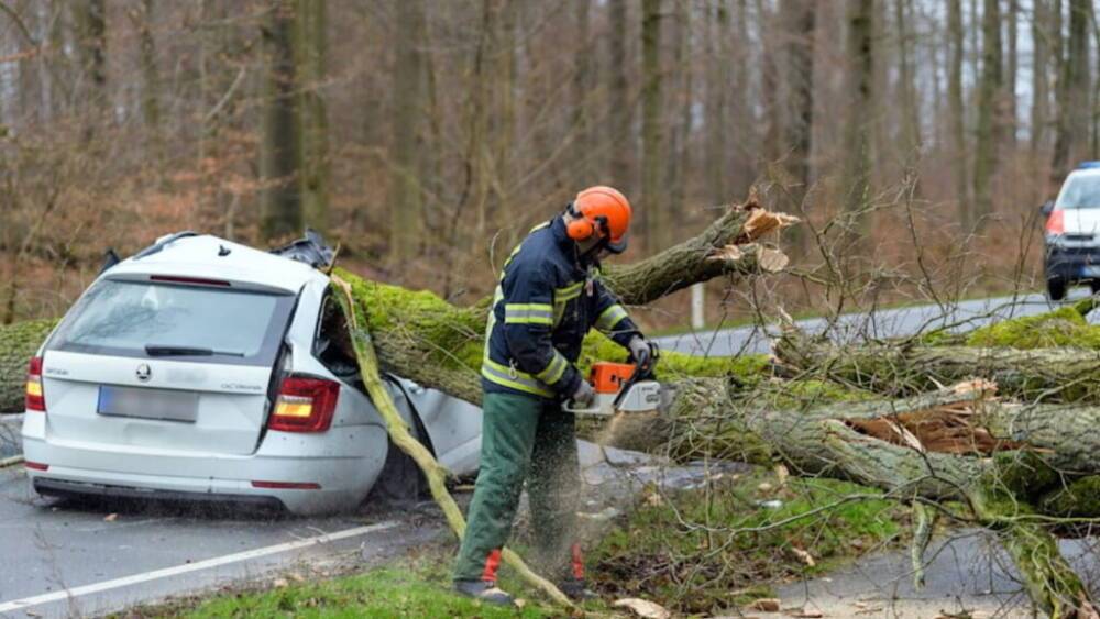 Ураган «Иления» унес еще одну жизнь: в Нижней Саксонии дерево упало на едущий автомобиль, водитель скончался