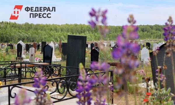 Депутаты предложили посещать кладбища Ростова по пропускам