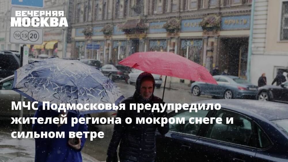 МЧС Подмосковья предупредило жителей региона о мокром снеге и сильном ветре