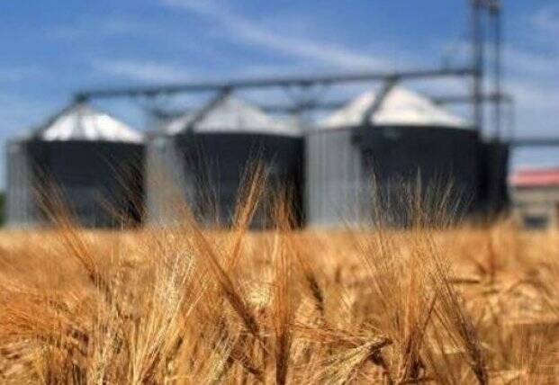 Украина на 26% увеличила агроэкспорт в ЕС