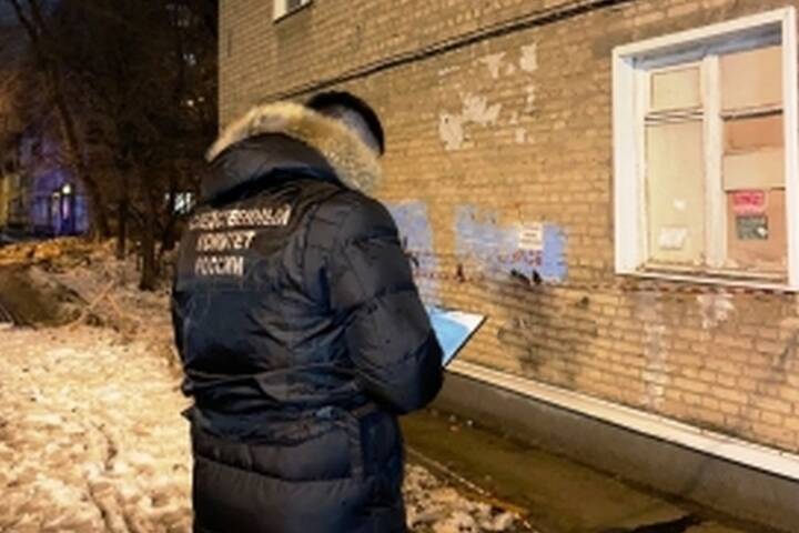 В Воронеже следственными органами организована проверка о травмировании 23-летней девушки упавшей на голову наледью