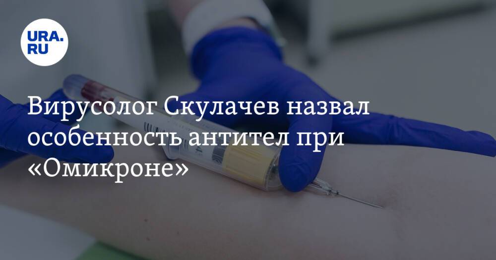 Вирусолог Скулачев назвал особенность антител при «Омикроне»