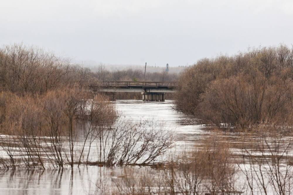 Северо-восток Воронежской области оказался под угрозой затопления из-за больших снежных заносов