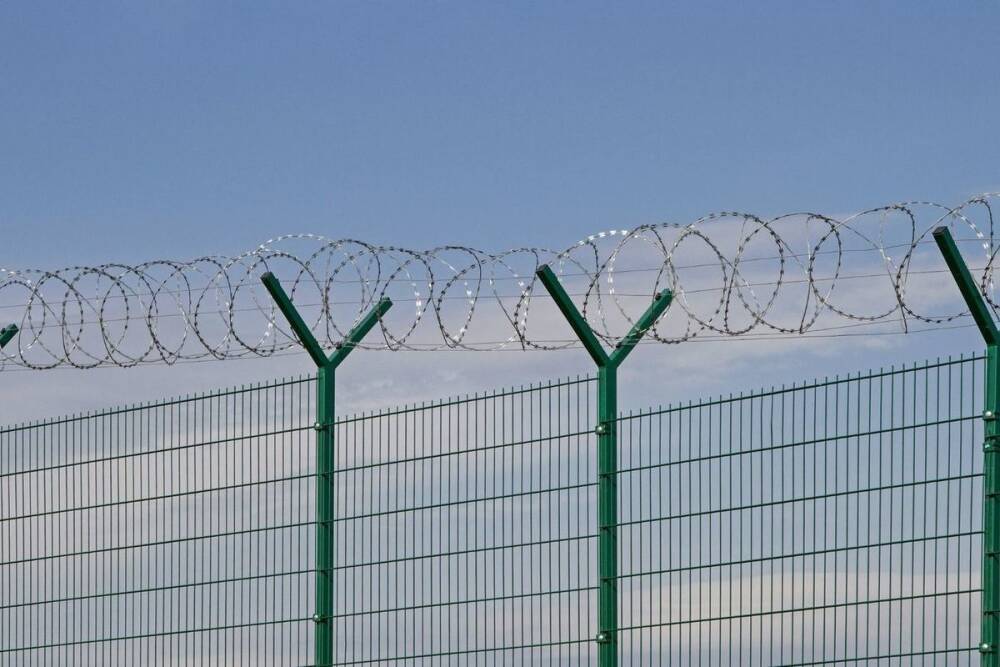 Пойманных на петербургской границе нелегальных мигрантов отправили в колонию на 1,9 года