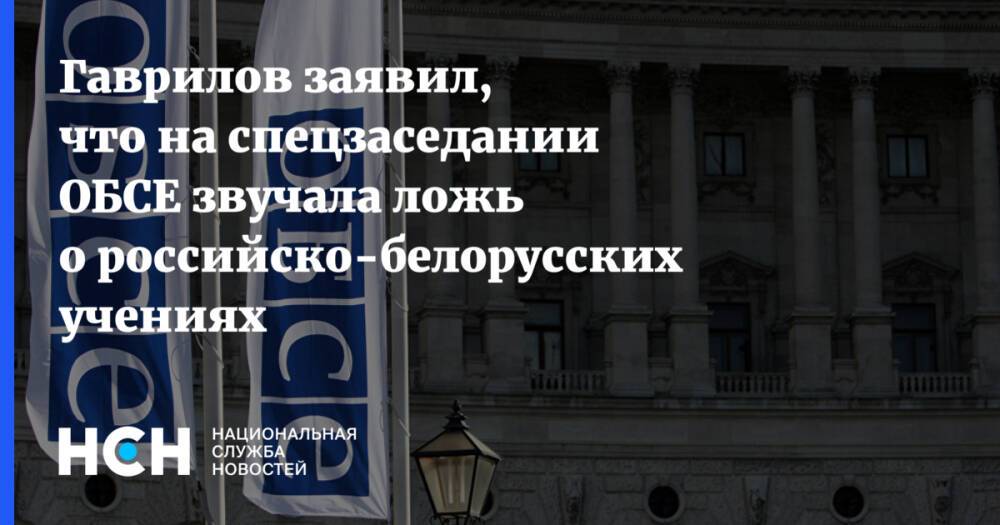 Гаврилов заявил, что на спецзаседании ОБСЕ звучала ложь о российско-белорусских учениях
