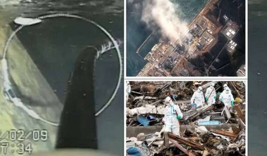 Катастрофа на Фукусиме: специалисты показали снимки душераздирающих остатков расплавленного ядерного реактора (Фото)